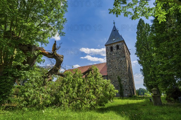 Grimme village church, Zerbst, Saxony-Anhalt, Germany, Europe