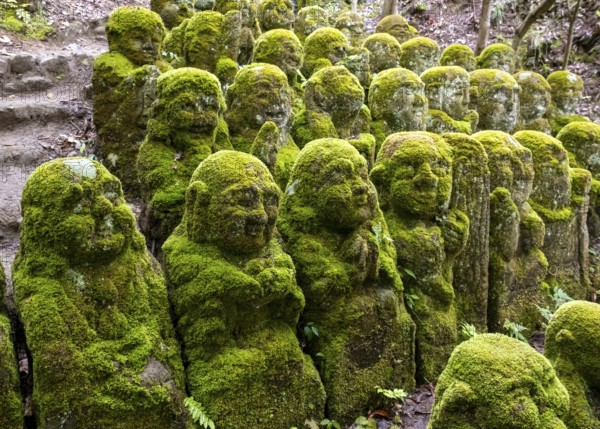 Moss-covered stone statues of rakans, the disciples of Buddha, Otagi Nenbutsu-ji temple, Kyoto,