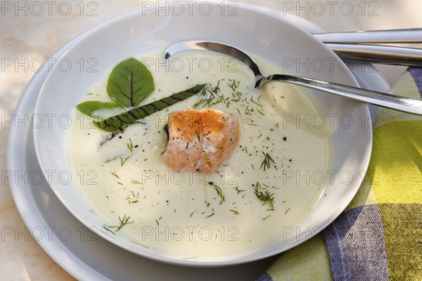 Southern German cuisine, sorrel soup with char, freshwater fish, soup arranged in a plate, herbs,