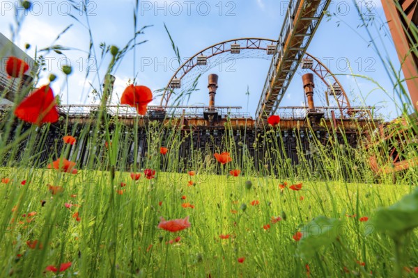 Zollverein Coal Mine Industrial Complex World Heritage Site, Zollverein Coking Plant, colourful