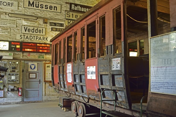 Europe, Germany, Aumühle, Holstein, Duchy of Lauenburg district, Hamburg metropolitan region,