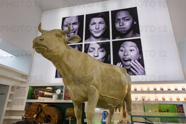 Founded in 1912, the Deutsches Hygiene-Museum is a museum in Dresden. It sees itself as a public