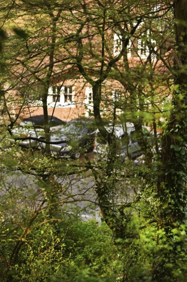 Iserlohn. This year's unusually warm weather in April has already given us a May. Nature exploded