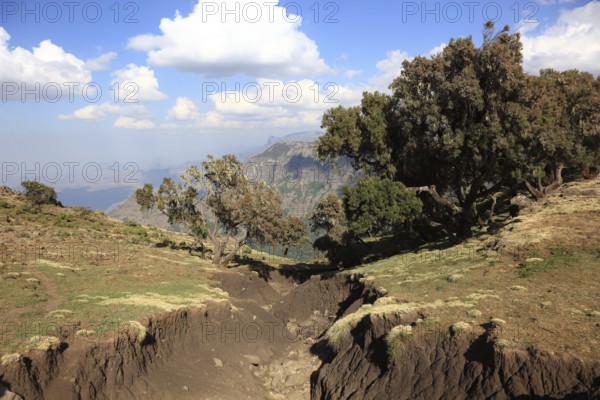In the highlands of Abyssinia, in the Semien Mountains, landscape in the Semien Mountains National