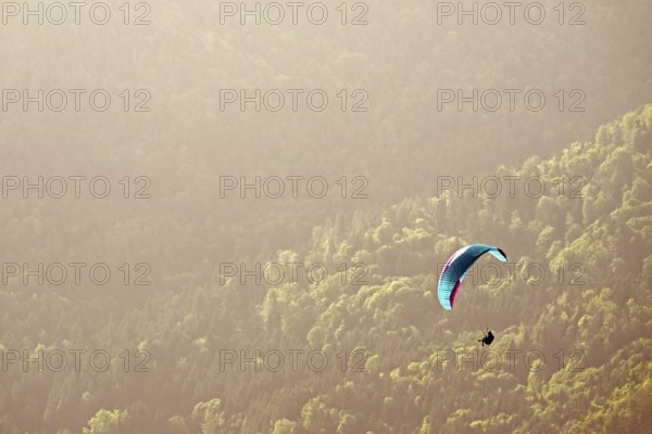 Paraglider flying over the forest, Alsace, France, Europe