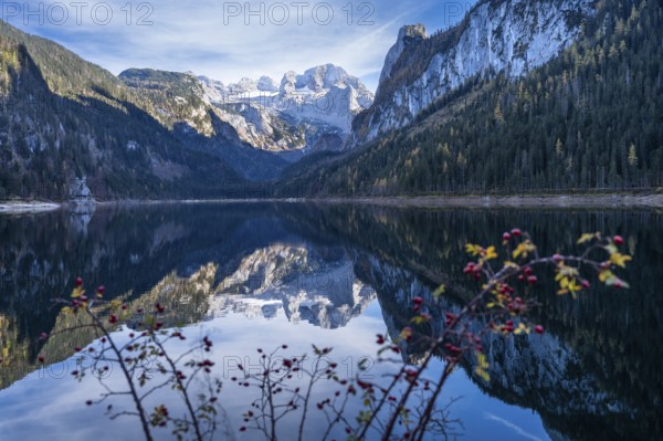 The Vordere Gosausee lake in autumn with a view of the Dachstein mountain range. The Gosaukamm on