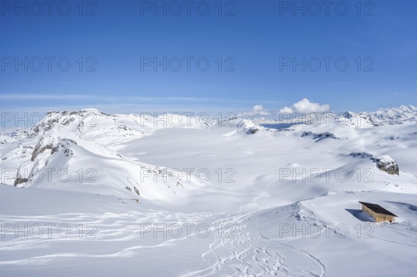 Downhill tracks in fresh snow, view from summit Wisshore to glacier Glacier de la Plaine Morte with