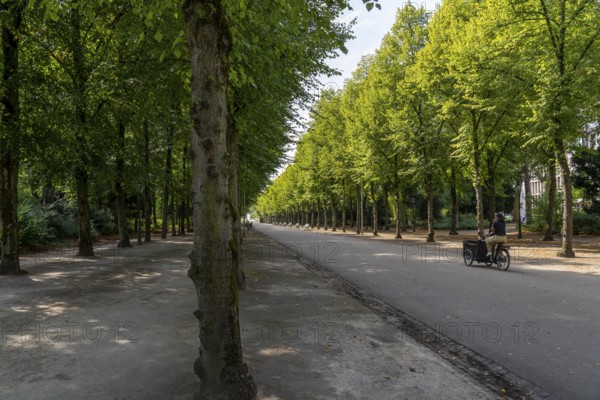 The Jägerhofallee in the Hofgarten, the central municipal park in Düsseldorf, North