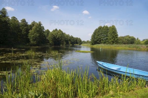 A calm river flows through a green forest landscape under a blue sky, landscape near the Tartak