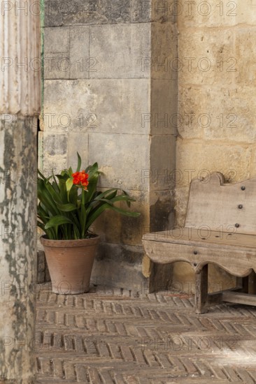 House facade with a clive as decoration, Cordoba, Andalusia, Spain, Europe