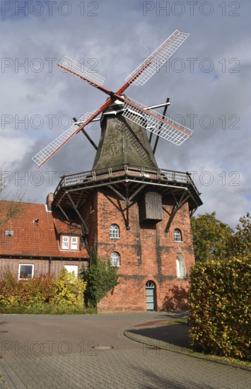 Europe, Germany, Lower Saxony, Hamburg metropolitan region, Altes Land, Stade district,