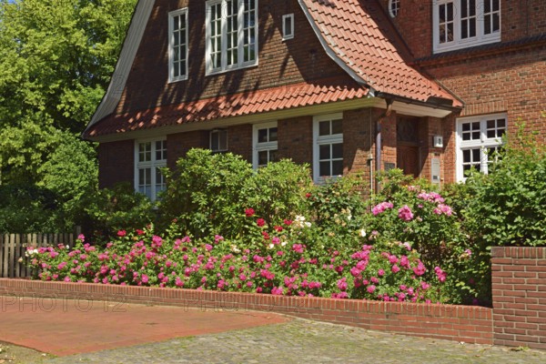 Europe, Germany, Hamburg, Bergedorf district, Schlossstr., City villa with roses, Europe