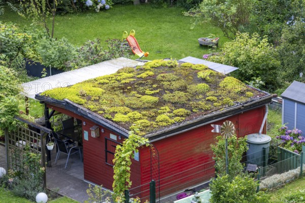 Gazebo with green roof, allotment garden in Essen, North Rhine-Westphalia, Germany, Europe