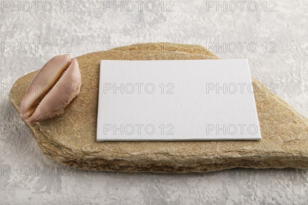 White paper business card, mockup with natural stone and seashell on gray concrete background.