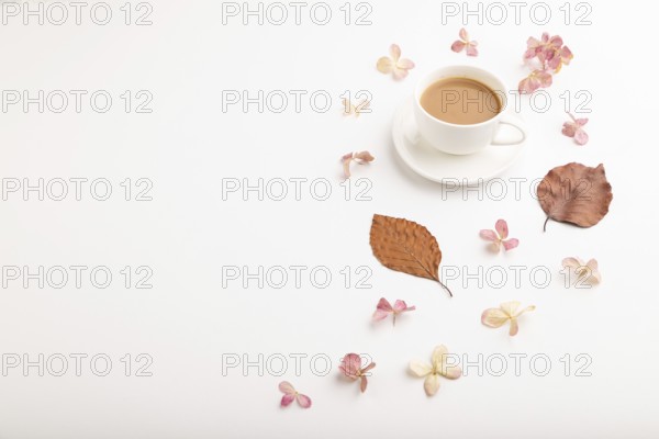 Composition with brown beech autumn leaves, hydrangea flowers and cup of coffee. mockup on white