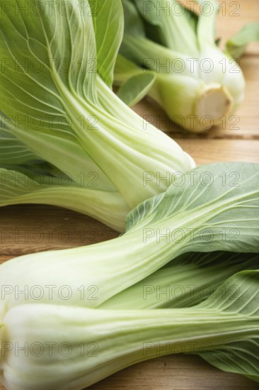 Fresh green bok choy or pac choi chinese cabbage on a brown wooden background. Side view, close up