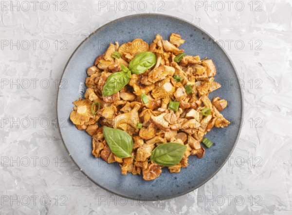 Fried chanterelle mushrooms with basil and spice herbs on gray concrete background. Top view, flat
