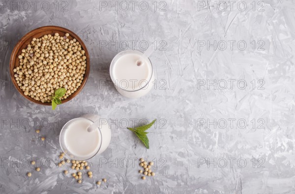 Organic non dairy soy milk in glass and wooden plate with soybeans on a gray concrete background.