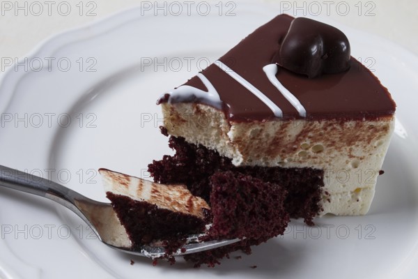 Slice of cake, bird's milk, chocolate sponge cake with souffle, sweet dessert, on a white plate,