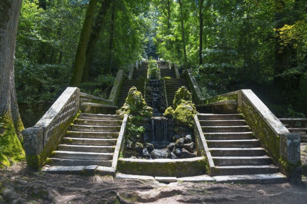 Steintreppe im Wald mit moosbedeckten Geländern und einem kleinen Wasserfall in der Mitte, Quelle