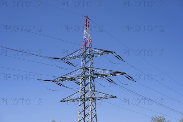 Power pylon on the motorway, Bavaria, Germany, Europe