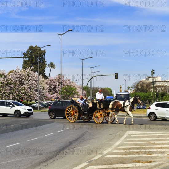 Tourists travelling in a horse-drawn carriage across a crossroads, Seville, Spain, Europe