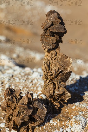 Irregularly shaped crystal formation of sand grains, Rub al Khali desert, Dhofar province, Arabian