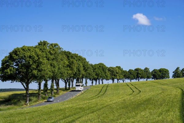 Country road between Hirschberg and Warstein, local bus, public transport, bus transport,