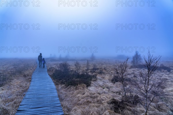 The High Fens nature park Park, in the German-Belgian border region near Eupen, winter, fog, wooden