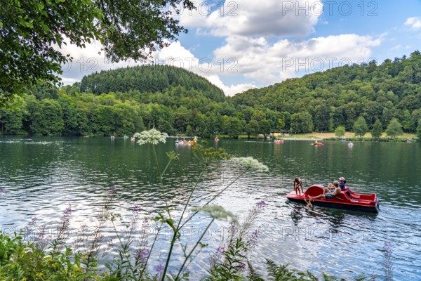 Gemündener Maar, Vulkaneifel, Vulkansee, Eifel, Rhineland-Palatinate, Germany, Europe