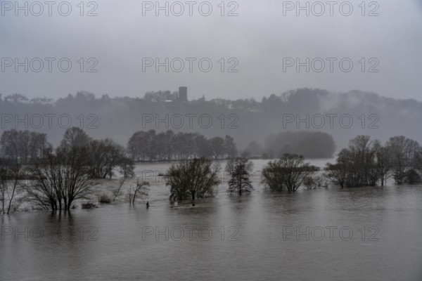 Floods on the Ruhr, here near Bochum-Stiepel, flooded Ruhr floodplains, after days of continuous