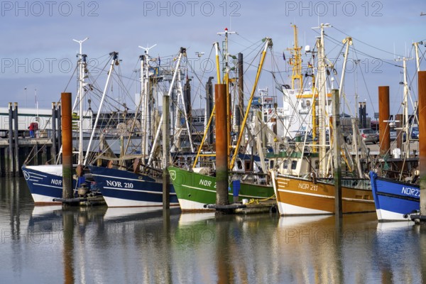 Fishing boats, shrimp boats in the harbour of Norddeich, Lower Saxony, Germany, Europe