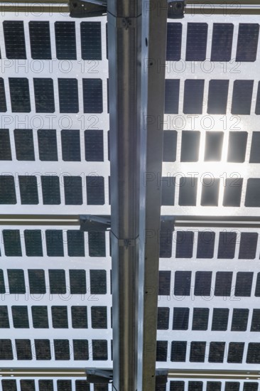 Agri-photovoltaic test plant, an apple orchard with two different systems of PV modules was roofed