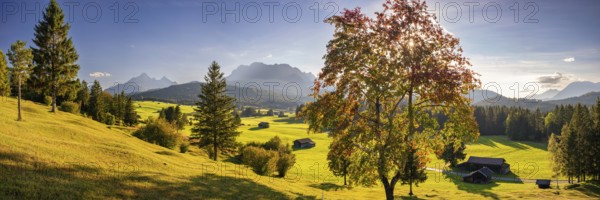 Hummock meadows between Mittenwald and Krün, Werdenfelser Land, with the Wetterstein Mountains