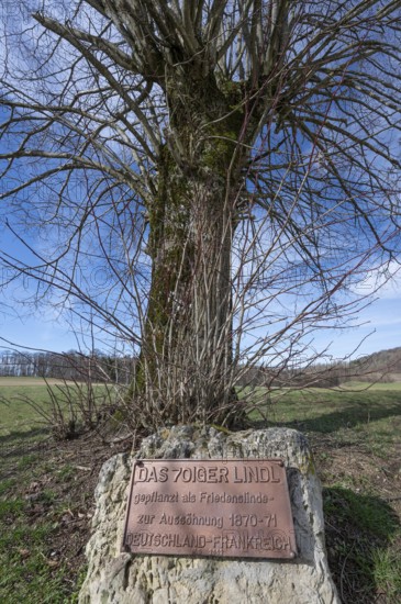 Plaque commemorating the reconciliation of the Franco-Prussian War 1870-1871 in front of a lime