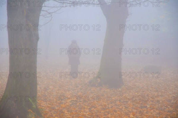 Woman Walking in the Foggy with Autumn Forest with Leaves in Bellinzona, Ticino, Switzerland,
