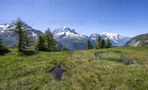 Mountain panorama with glaciated mountain peaks, Aiguille Verte with Aiguille du Midi and Mont