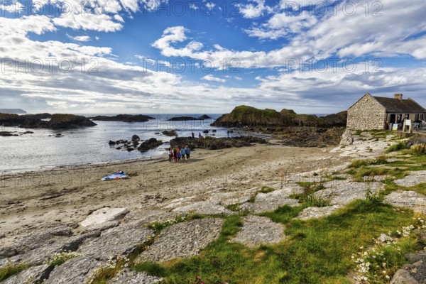 Rocky coast with narrow sandy beach, Ballintoy Harbour, Causeway Coastal Route, Antrim, Northern