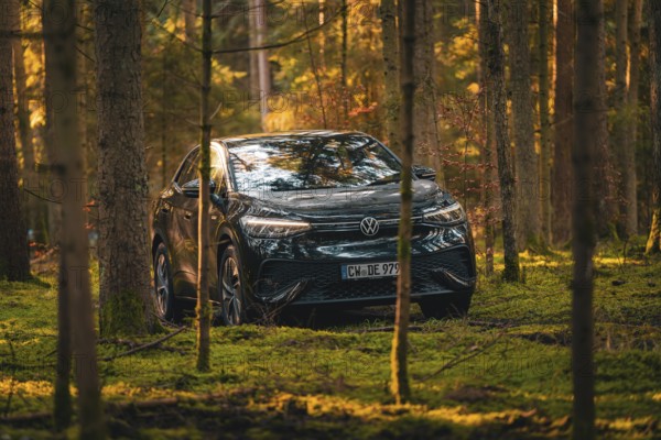 Black car between trees in the forest, soft shadows and leaves, car sharing vehicle Deer Mobility,