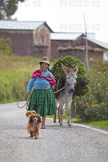 Peruvian woman in traditional dress with dog and donkey, Chuicuito peninsula on Lake Titicaca, Puno