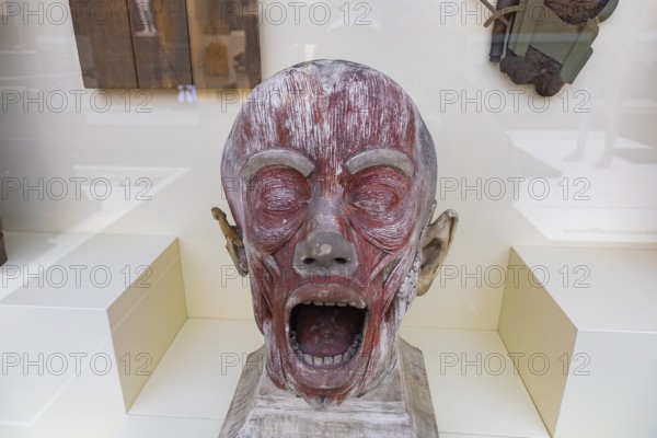 Founded in 1912, the Deutsches Hygiene-Museum is a museum in Dresden. It sees itself as a public