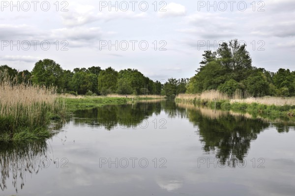 Unregulated natural course of the Spree, Mönchwinkel, 16 05 2023