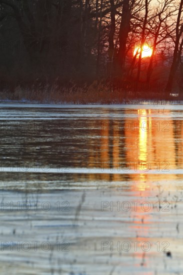 Winter floods 2024 on the Elbe and Mulde rivers with flooding of the meadows, ice on the meadows