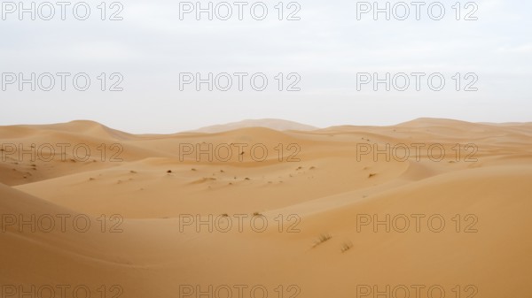 Dunes in the desert, Erg Chebbi, Sahara, Merzouga, Morocco, Africa