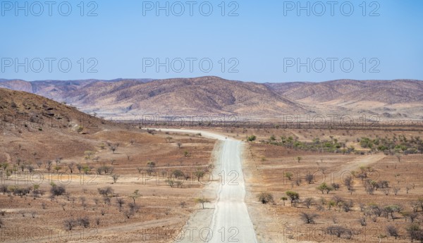 Gravel track leads through barren dry landscape with red and yellow hills, Kaokoveld, Kunene,
