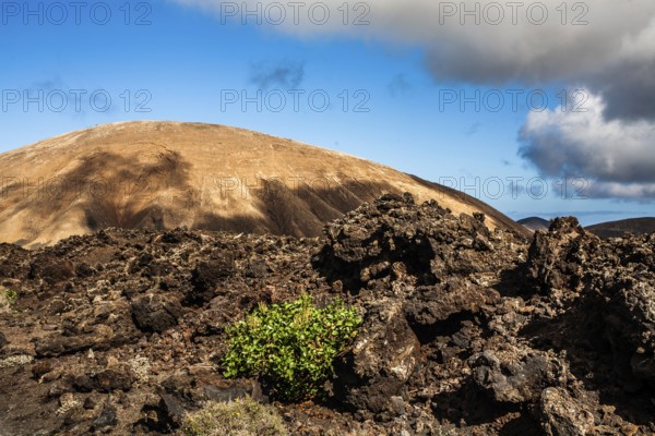 2016, Timanfaya National Park, Lanzarote, Fire Mountains of Timanfaya National Park, Montanas del