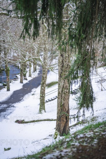 Snow-covered forest with a narrow path, a small river and tall, snow-covered trees, spa garden, Bad
