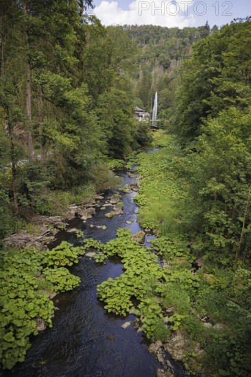 The Selbitz river flows through the Höllental valley between Thuringia and Bavaria. Lichtenberg, 21