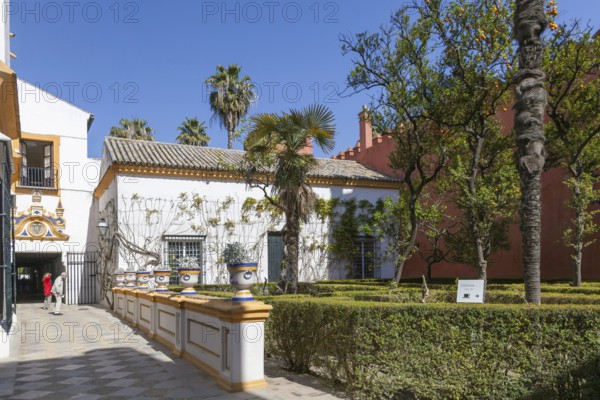 Jardines del Alcazar, Gardens in the Alcazar, Royal Palace of Seville, Seville, Spain, Europe