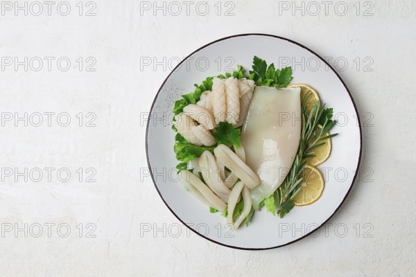 Fresh squid, raw, carcass, cut into rings, top view, no people